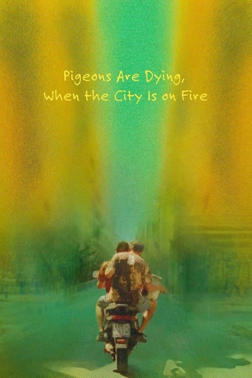 Pigeons Are Dying, When the City Is on Fire poster