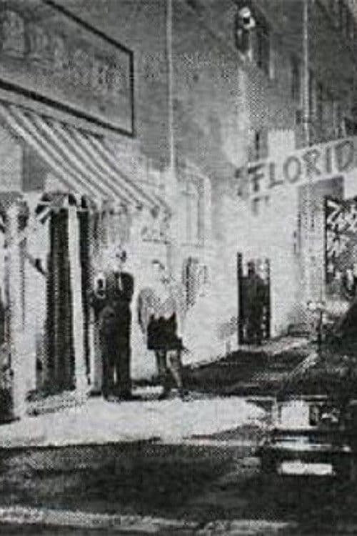 Nóttin, já nóttin poster