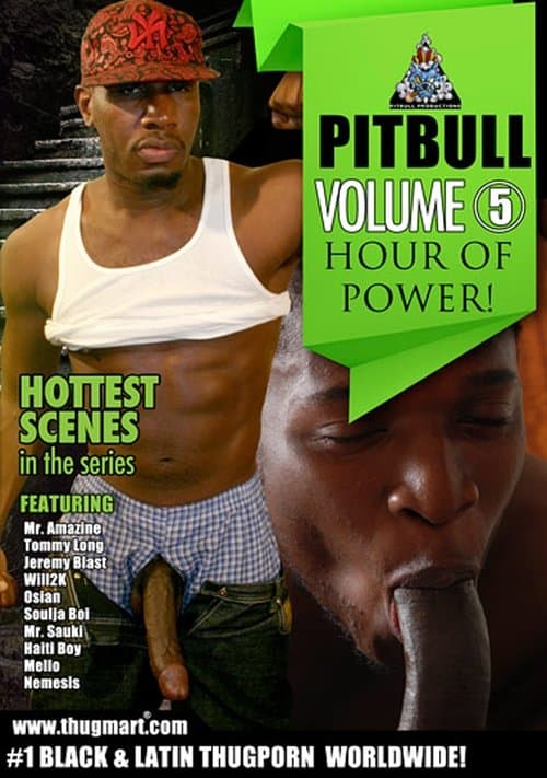 Pitbull 5: Hour Of Power poster