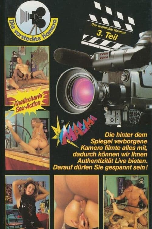Die versteckte Kamera 3 poster