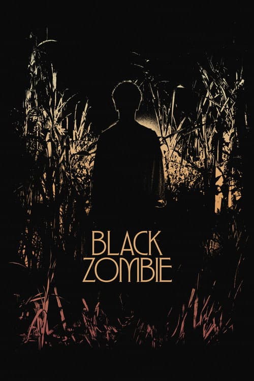Black Zombie poster