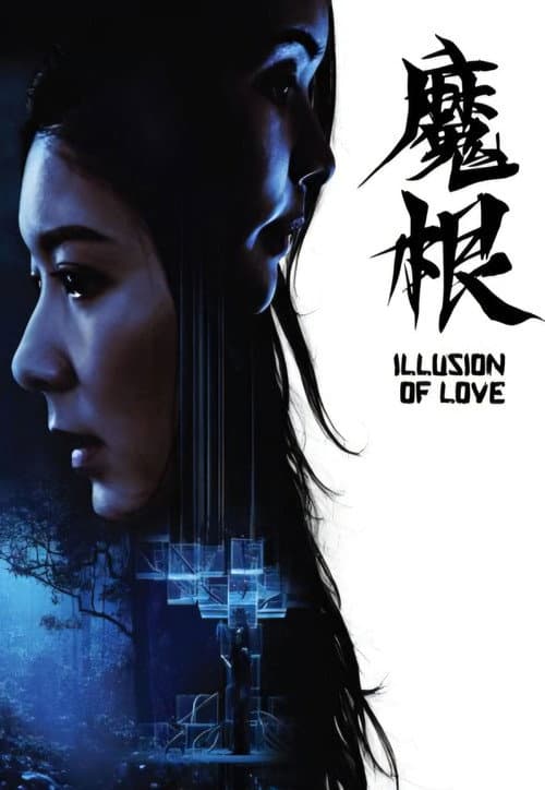 Illusion of Love poster