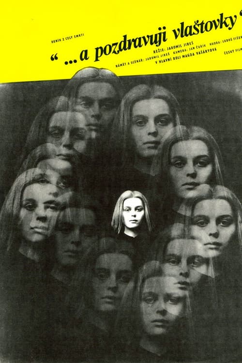 And Give My Love to the Swallows poster