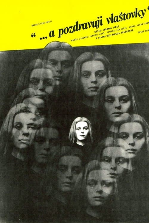 And Give My Love to the Swallows poster