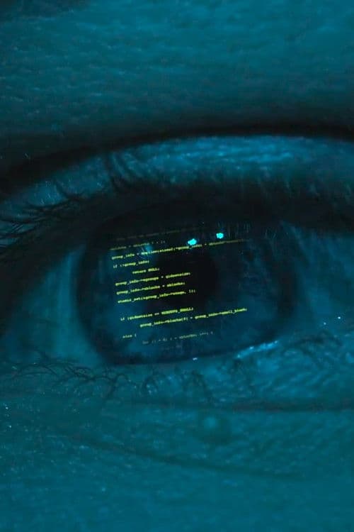 Media Mushrooms poster