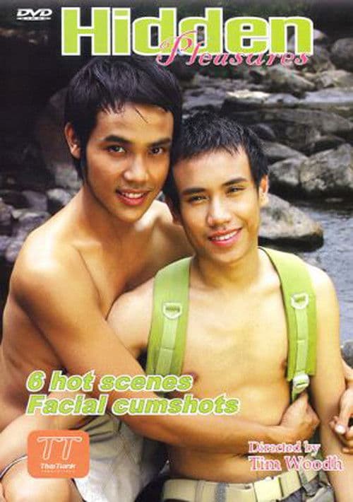 Hidden Pleasures poster