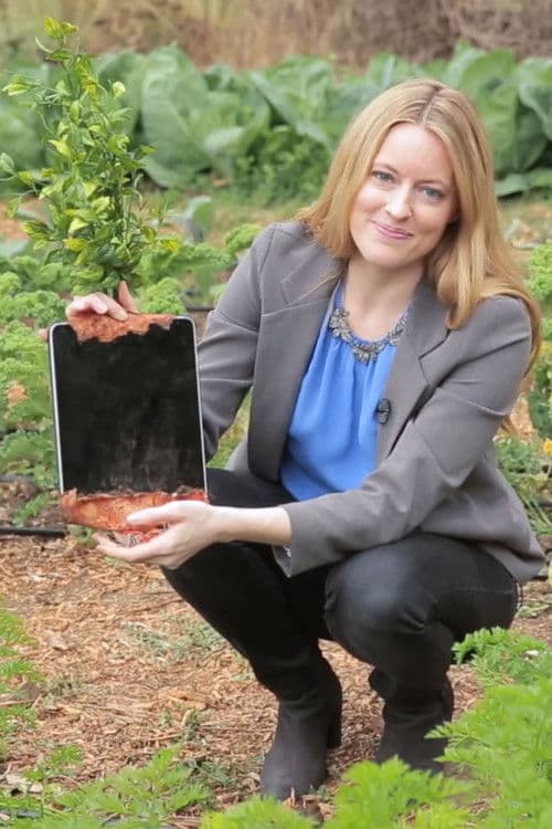 In Your Own Backyard poster