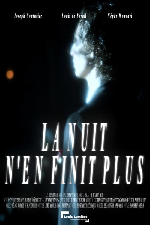 The Night Never Ends poster