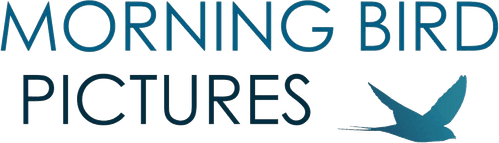 Morning Bird Pictures