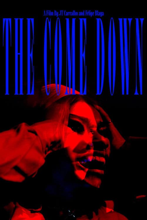 The Come Down poster