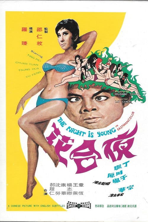 The Night Is Young poster