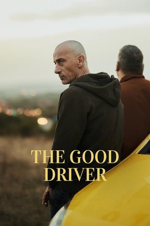 The Good Driver poster