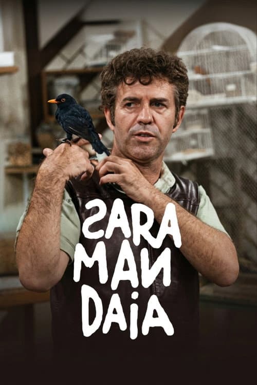 Saramandaia poster