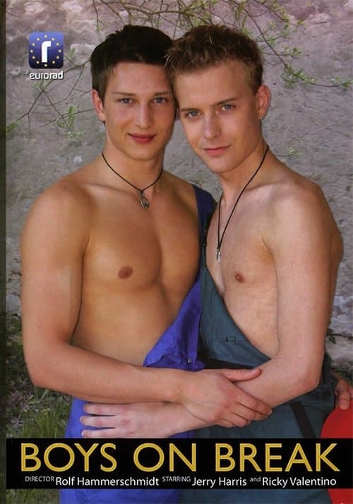 Boys on Break poster