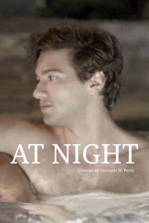 At Night poster