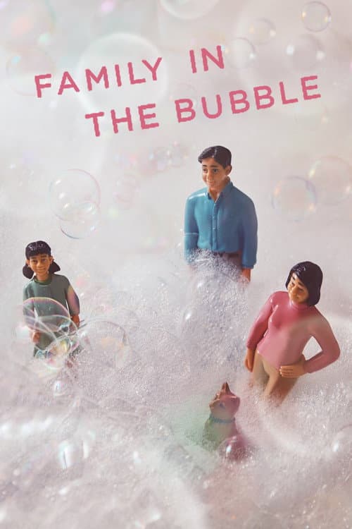 Family in the Bubble poster