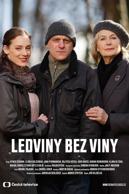 Ledviny bez viny poster