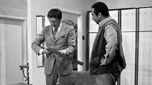 Pěkní ptáčci poster