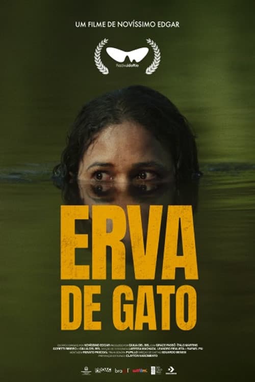 Erva de Gato poster