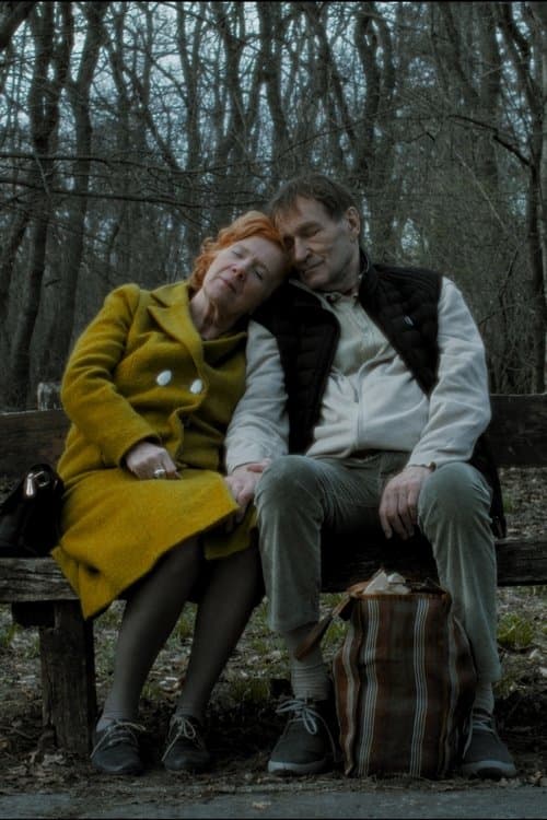 On Paths of Dawn poster