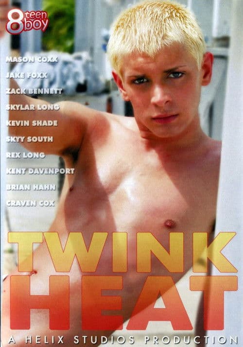 Twink Heat poster