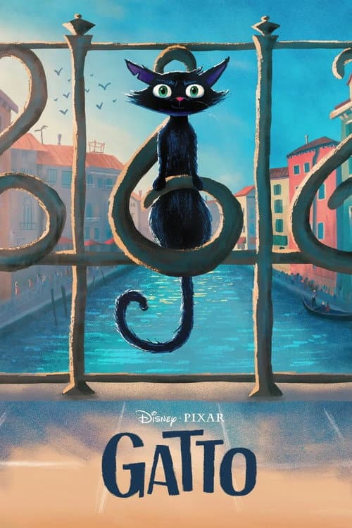Gatto poster