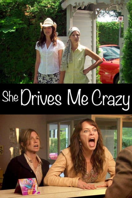 She Drives Me Crazy poster