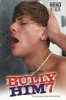 Bully Him 7 poster