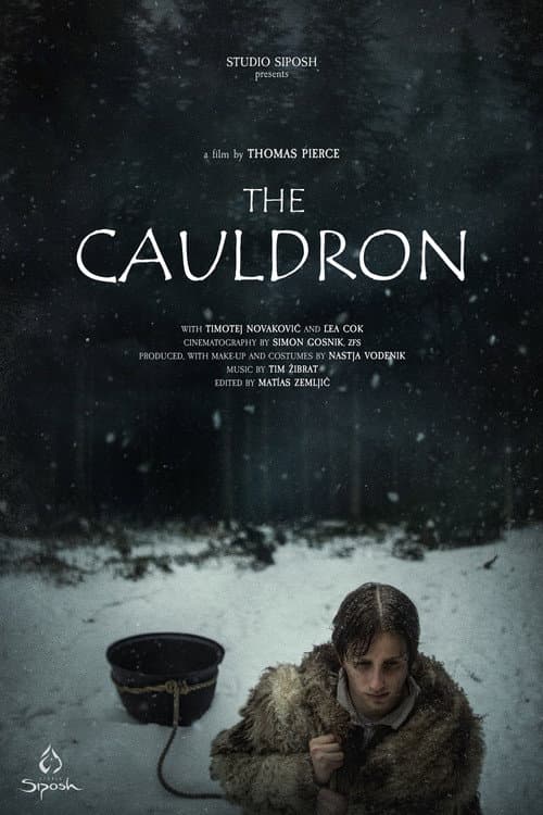 The Cauldron poster