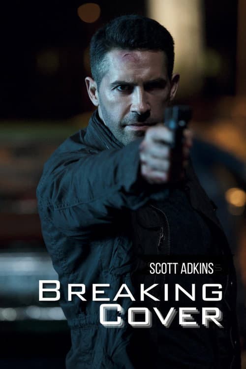 Breaking Cover poster