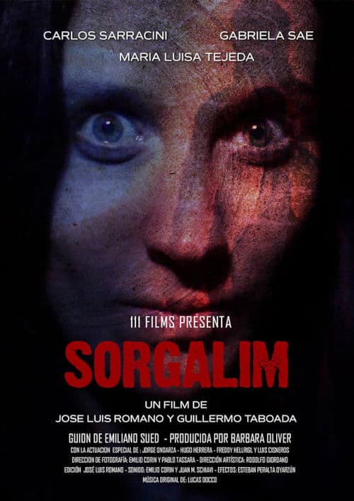 Sorgalim poster