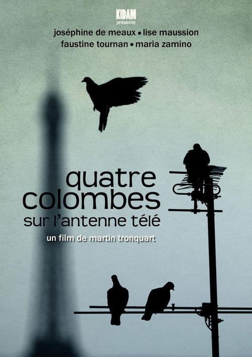 Quatre colombes sur l'antenne télé poster