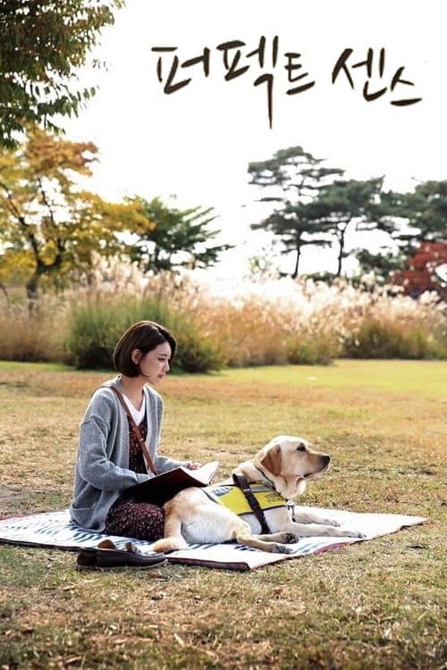 Perfect Sense poster