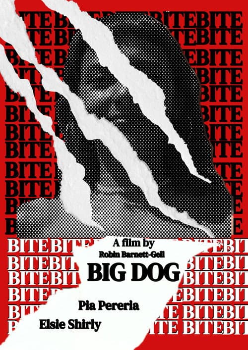 Big Dog poster