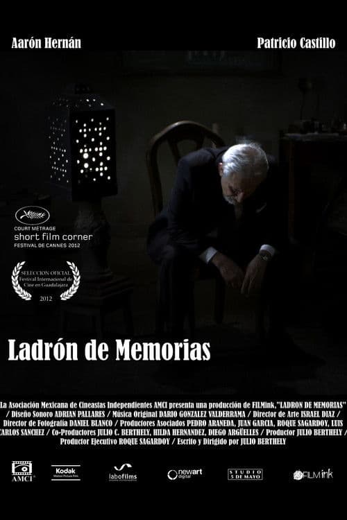 Ladrón de memorias poster