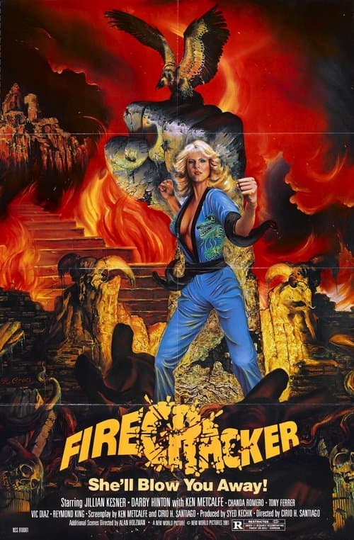 Firecracker poster