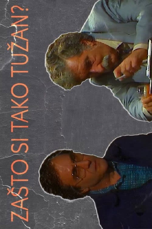 Why Are You So Sad? poster