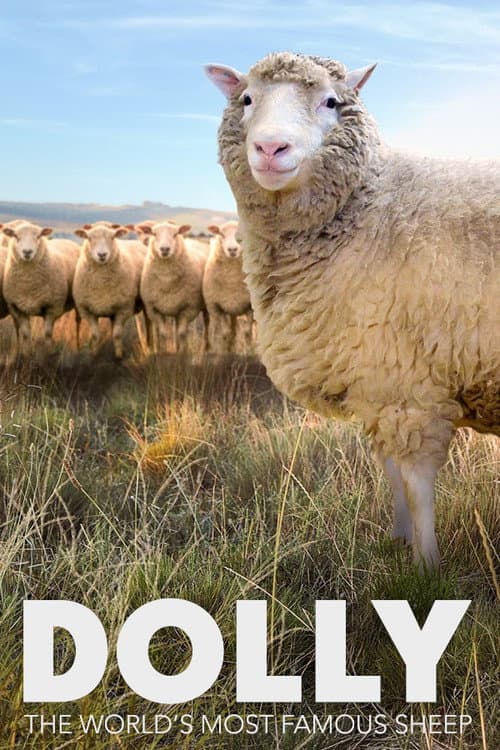 Dolly: The World's Most Famous Sheep poster