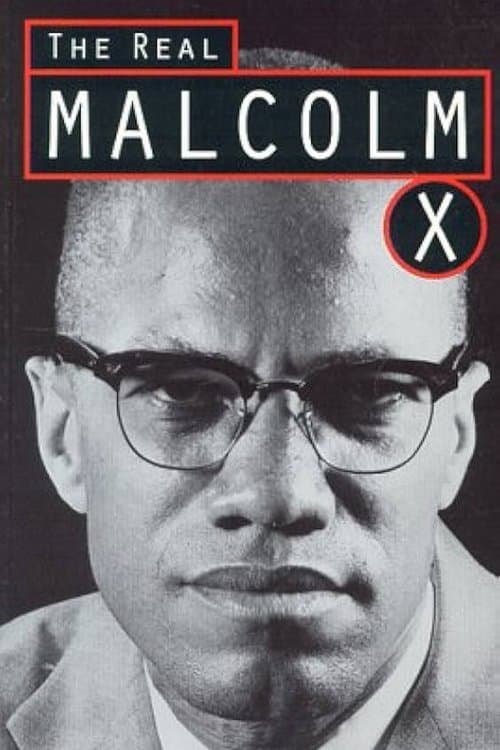 The Real Malcolm X poster