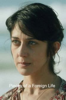 Pieces of a Foreign Life poster