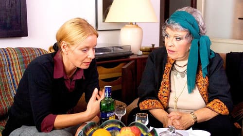 Zastřený hlas poster