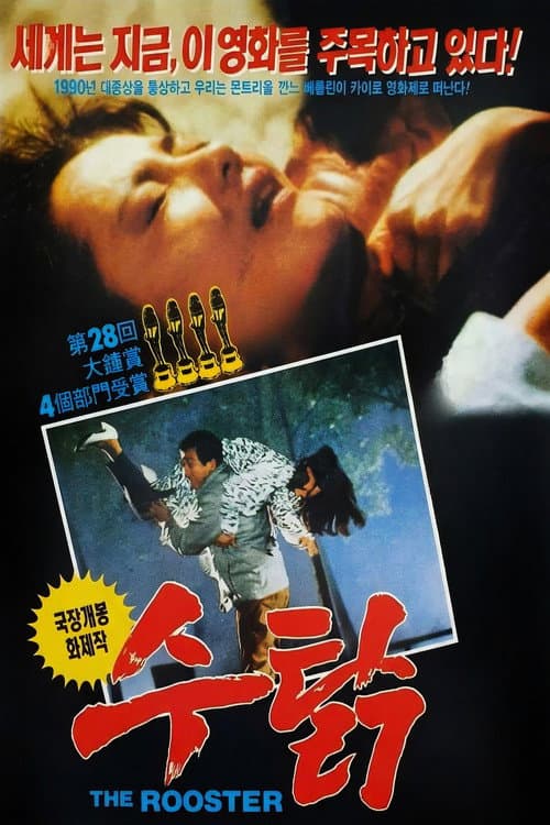 Rooster poster