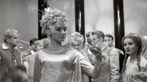 Vo modrým ptáčku poster