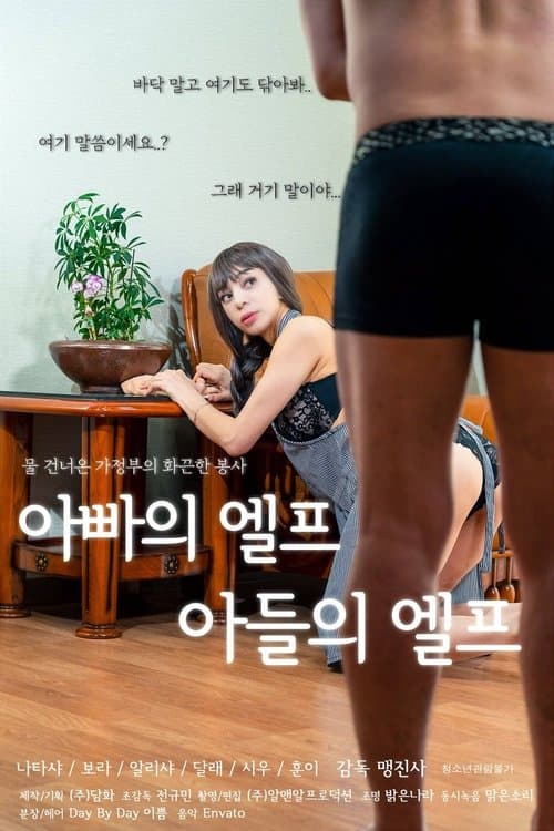 Dad's Elf, Son's Elf poster