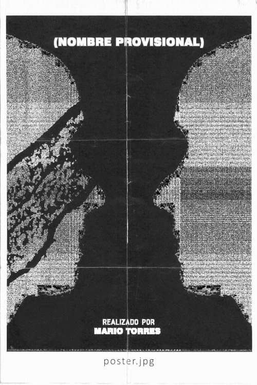 Provisional Name poster