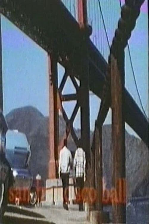 San Francisco Ball poster