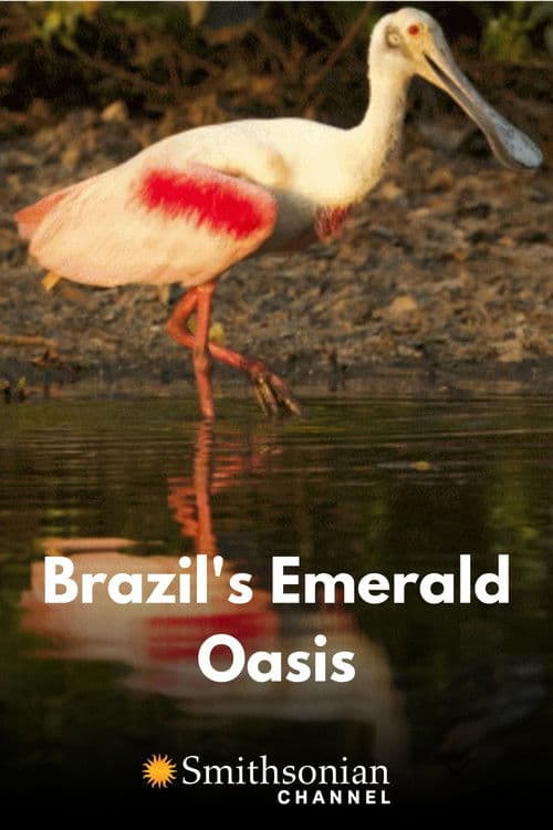 Brazil's Emerald Oasis poster
