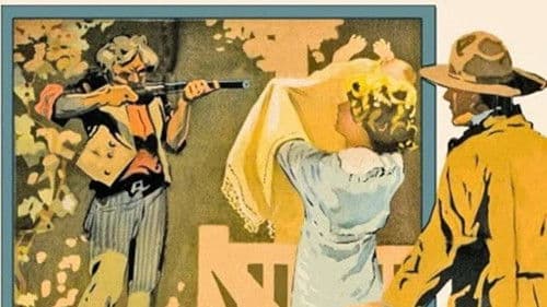 Sweet Alyssum poster