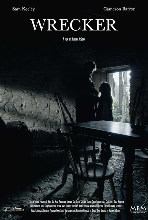 Wrecker poster
