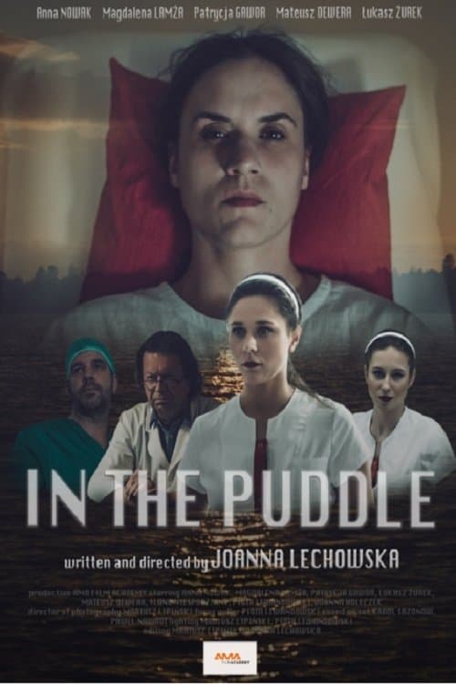 In the Puddle poster